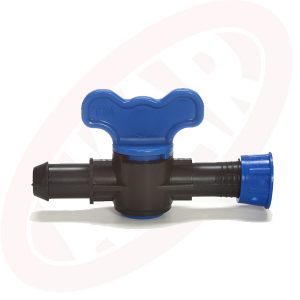 Yüzüklü-Mini-Vana